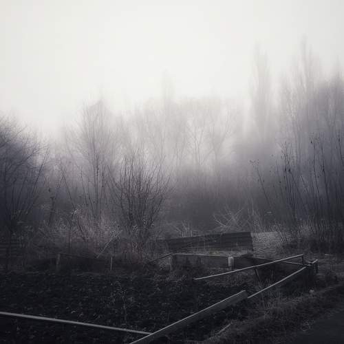 Photo #9164915