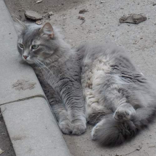 Photo #9164921