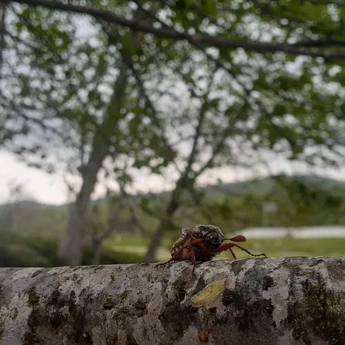 Photo #9165007
