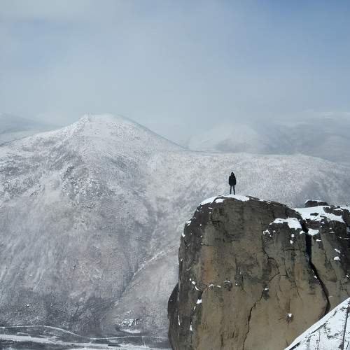 Photo #9165279