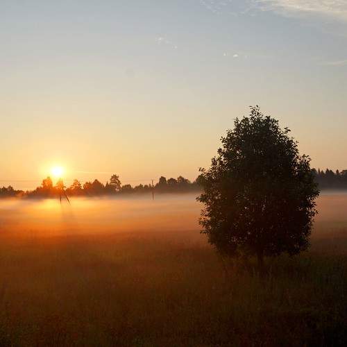 Фотография #9165325