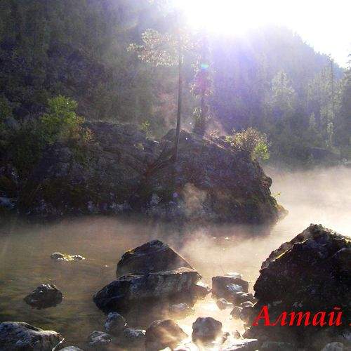 Photo #9165393