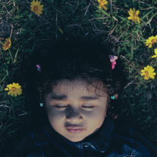 Photo #9165430