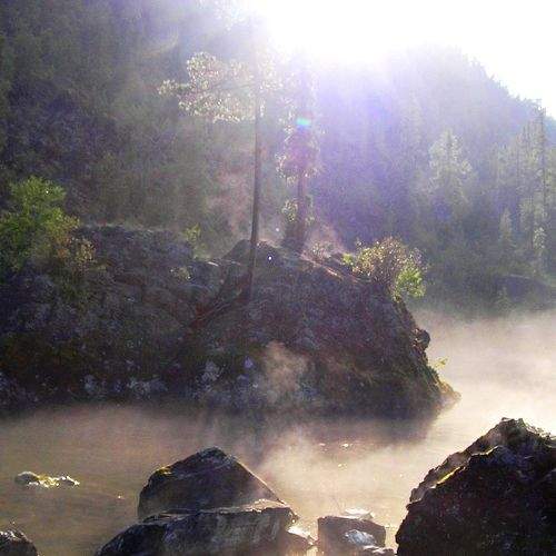 Photo #9165446