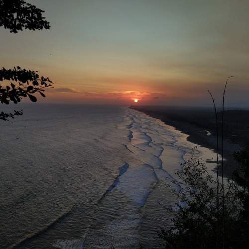 Photo #9165502