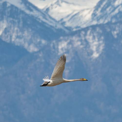 Photo #9165555