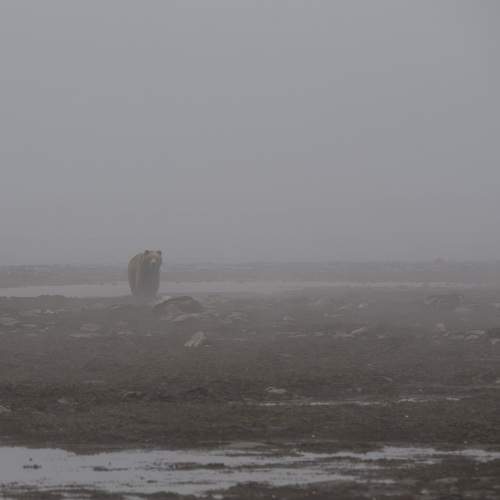 Photo #9165716