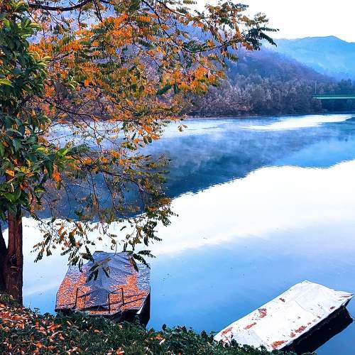 Photo #9165818