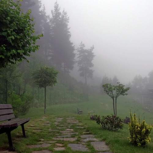 Photo #9166122