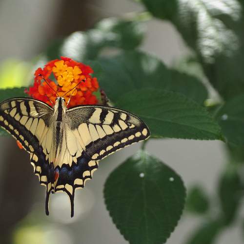 Photo #9166192