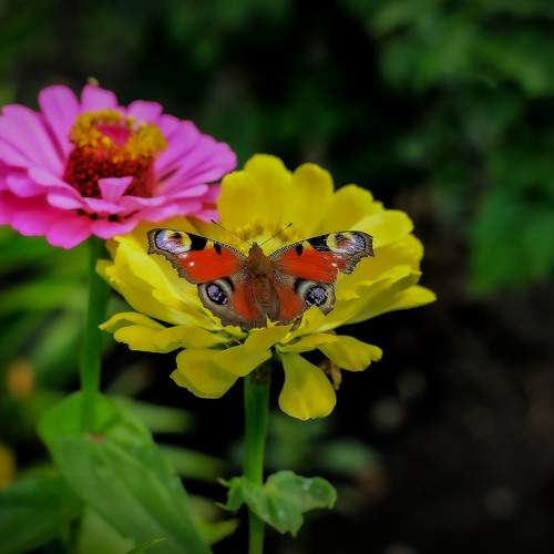 Photo #9166536