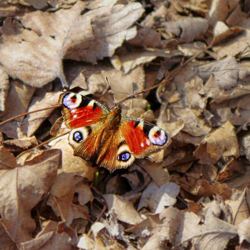 Photo #9166606