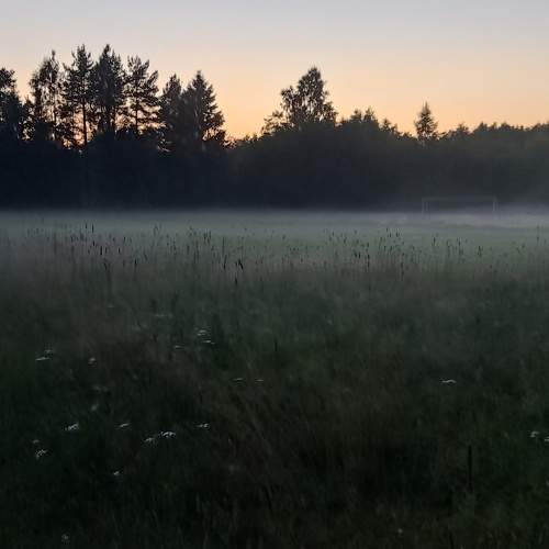 Photo #9166728