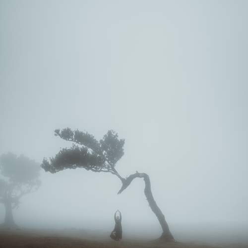 Photo #9167216