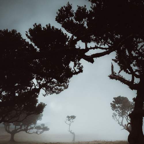 Photo #9167261