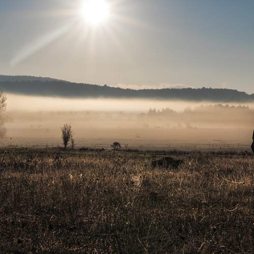 A Foggy Morning