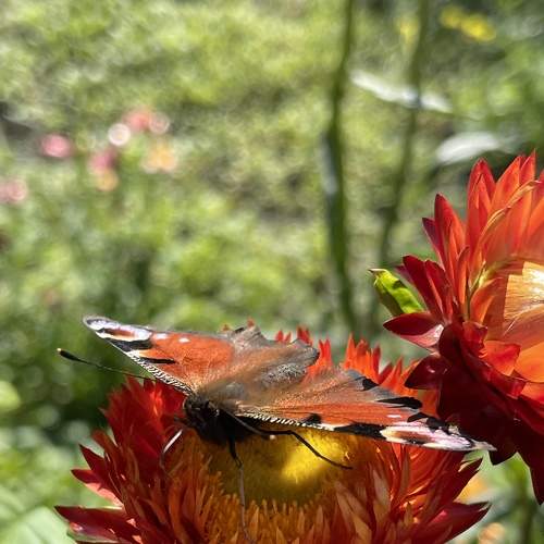 Photo #9167981