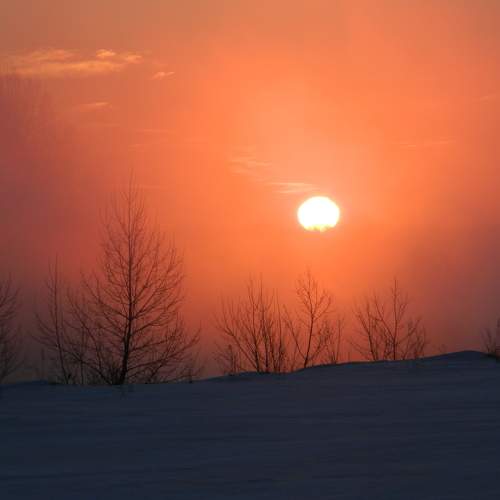 Photo #9168164