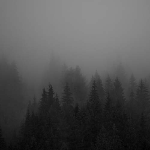Photo #9168224