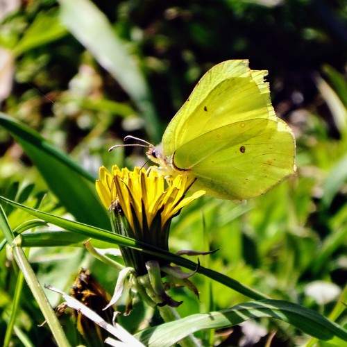 Photo #9168340
