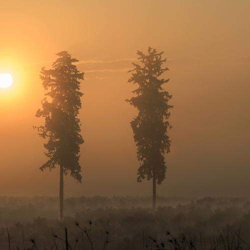 Photo #9168344