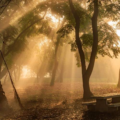 Photo #9168345