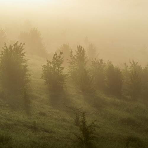 Photo #9168536