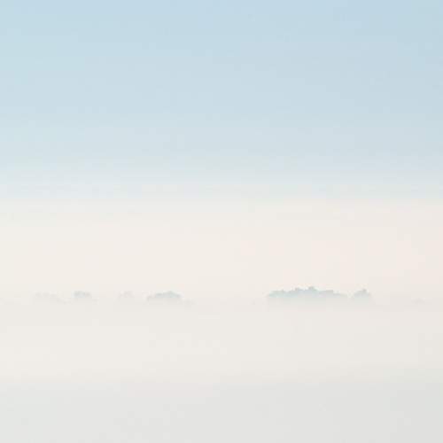 Photo #9168539
