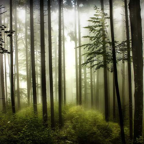 Photo #9168551