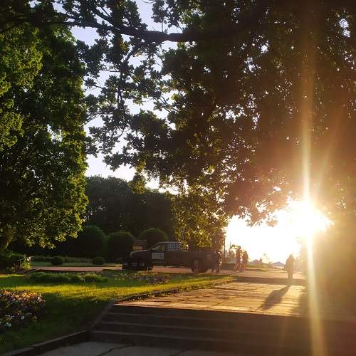 Photo #9168588