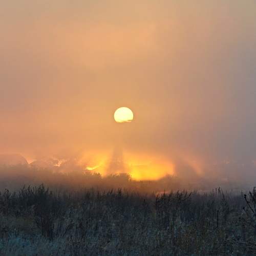 Photo #9168773