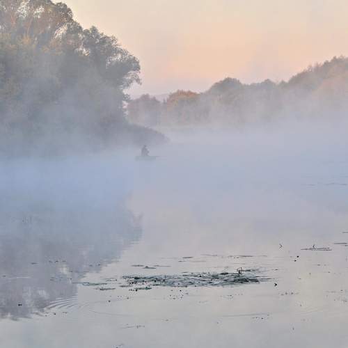 Photo #9168774
