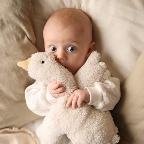 Фотография #9168825