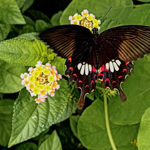 Beauty of nature
