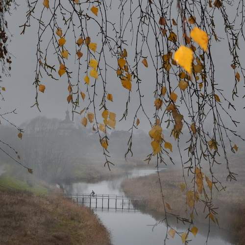 Photo #9169325