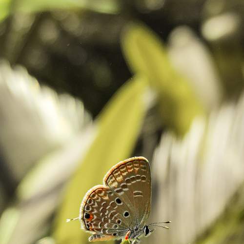 Photo #9169452