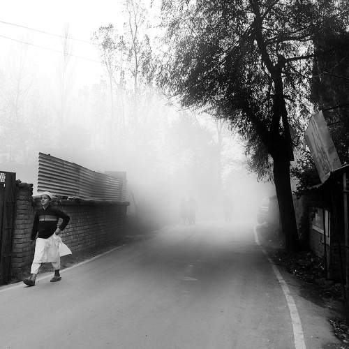 Photo #9169810