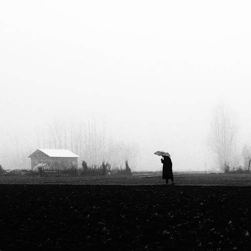 Photo #9169820