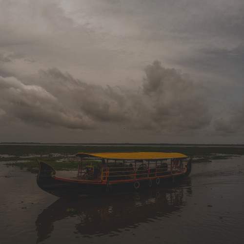 Photo #9169980