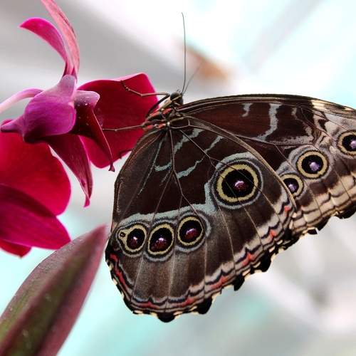 Photo #9170060