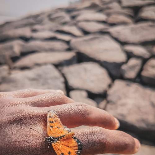 Photo #9170499