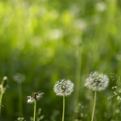 Photo #9170517