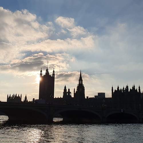 Photo #9170712