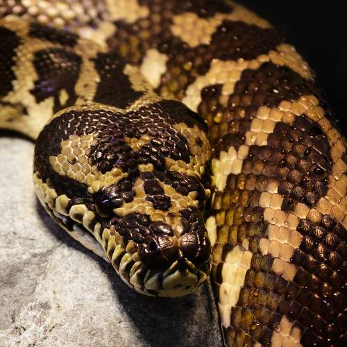 Photo #9170969