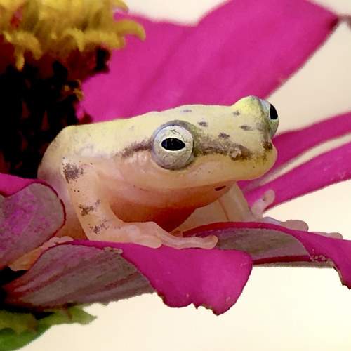 Photo #9171081