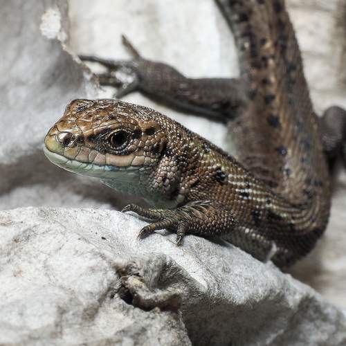 Photo #9171246