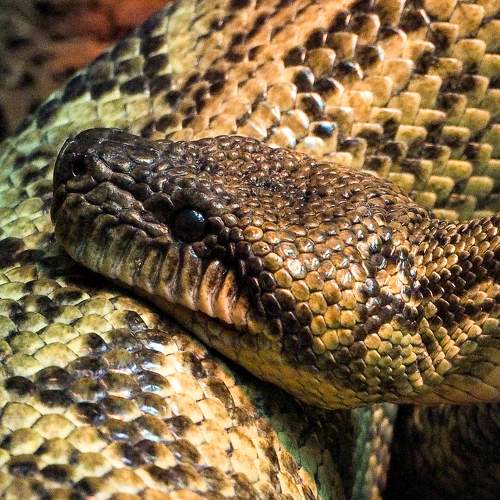 Photo #9171249