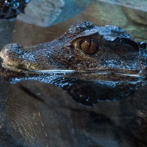 Photo #9171251