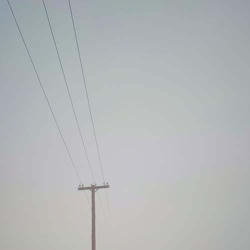 Photo #9171340
