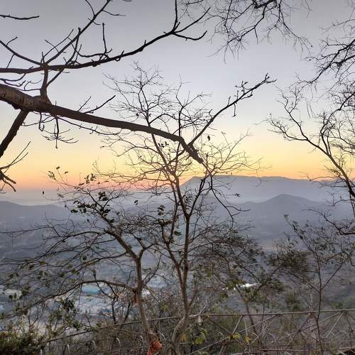 Photo #9172066